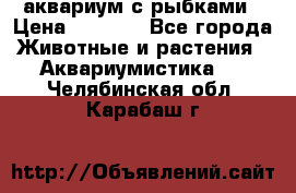 аквариум с рыбками › Цена ­ 1 000 - Все города Животные и растения » Аквариумистика   . Челябинская обл.,Карабаш г.
